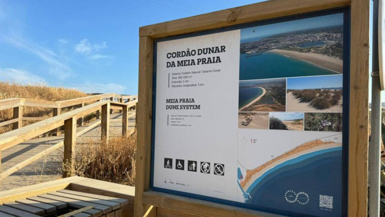 Reabilitação e Recuperação do Cordão Dunar da Meia Praia - Lagos