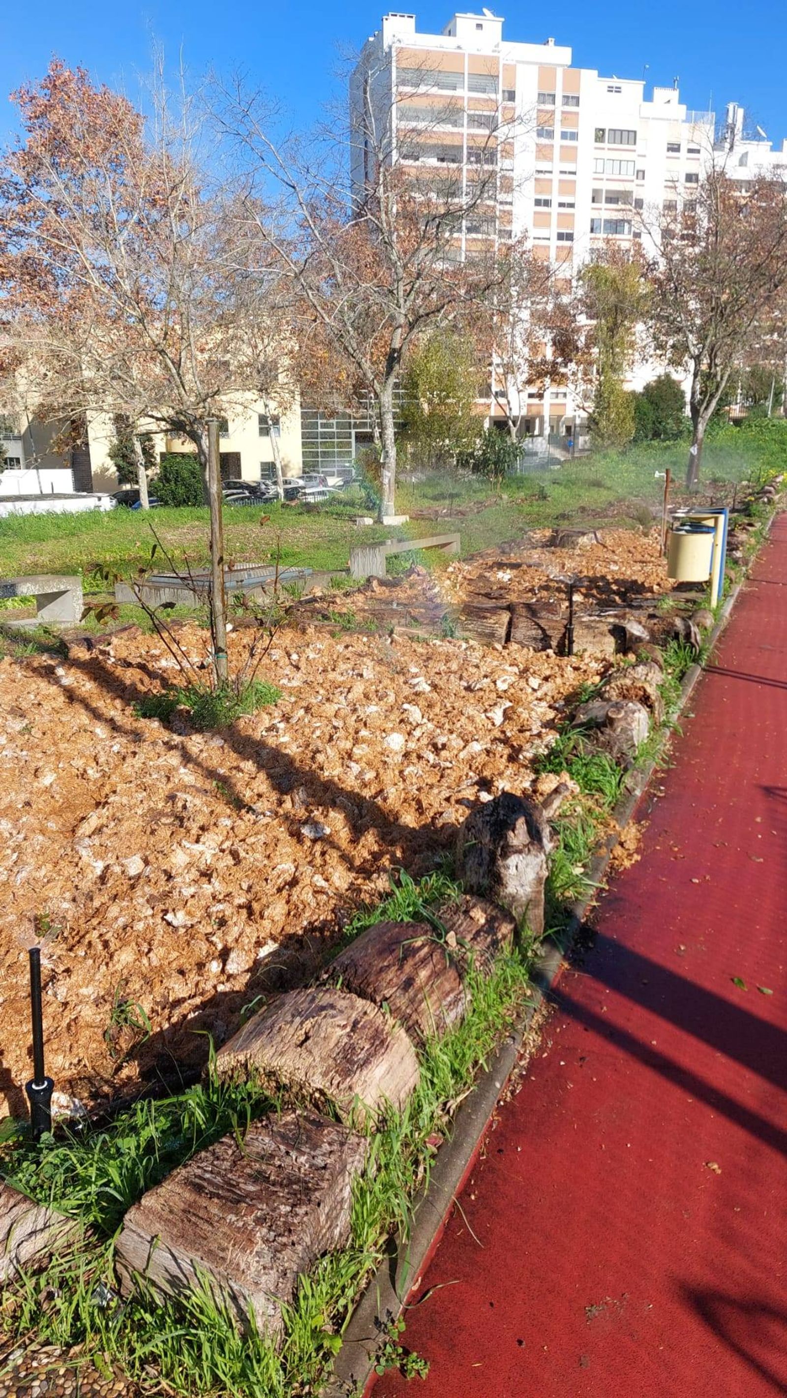 Colocação de substrato (palha) na zonas de plantação.