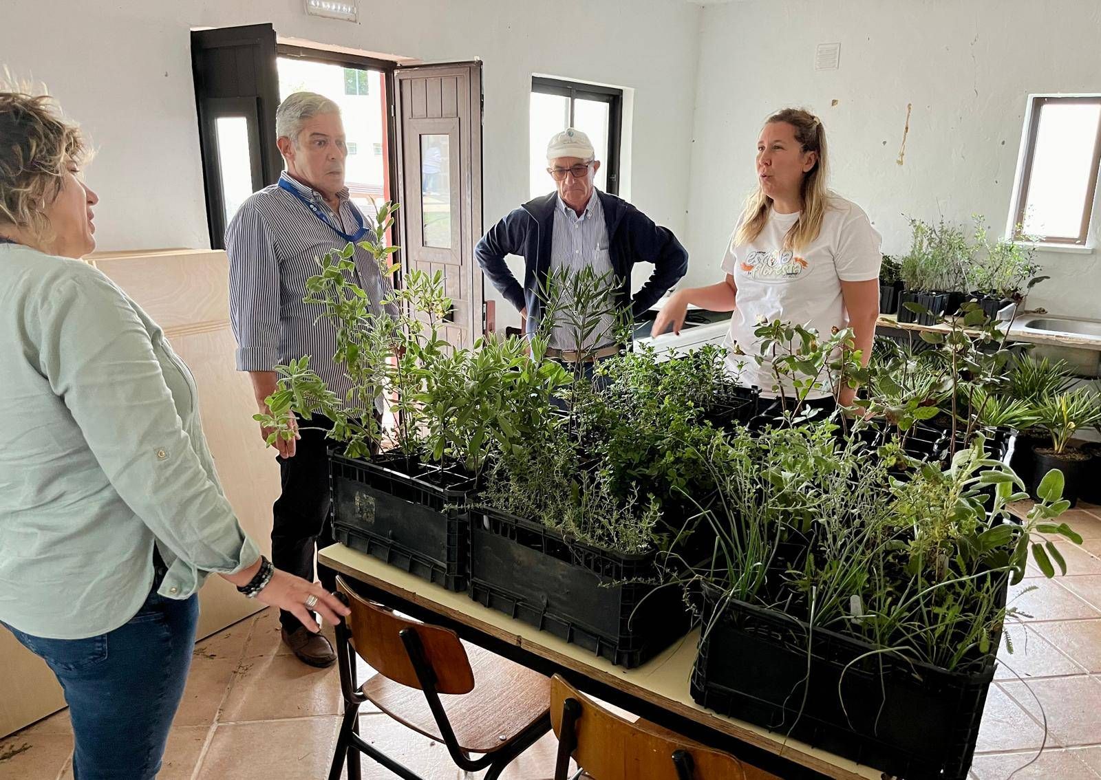Parte da equipa de estruturação e coordenação de projeto de plantação