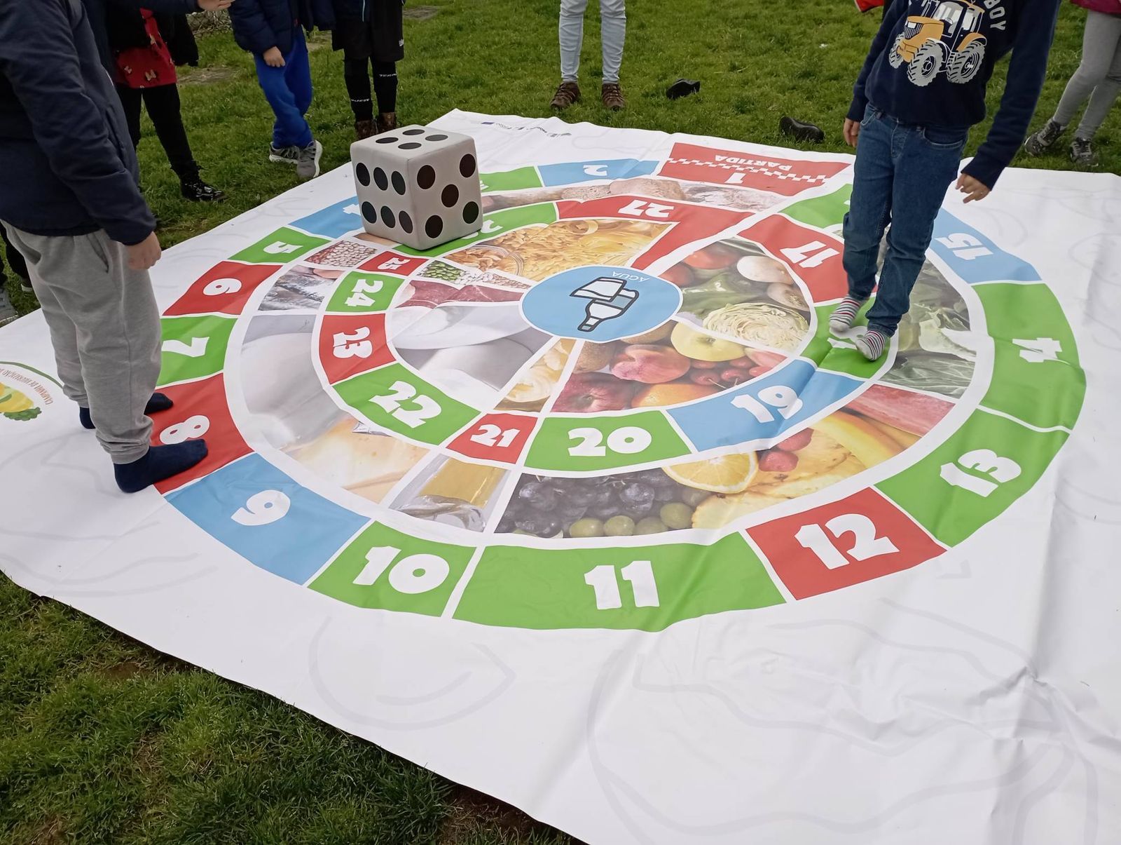 Jogo roda dos alimentos