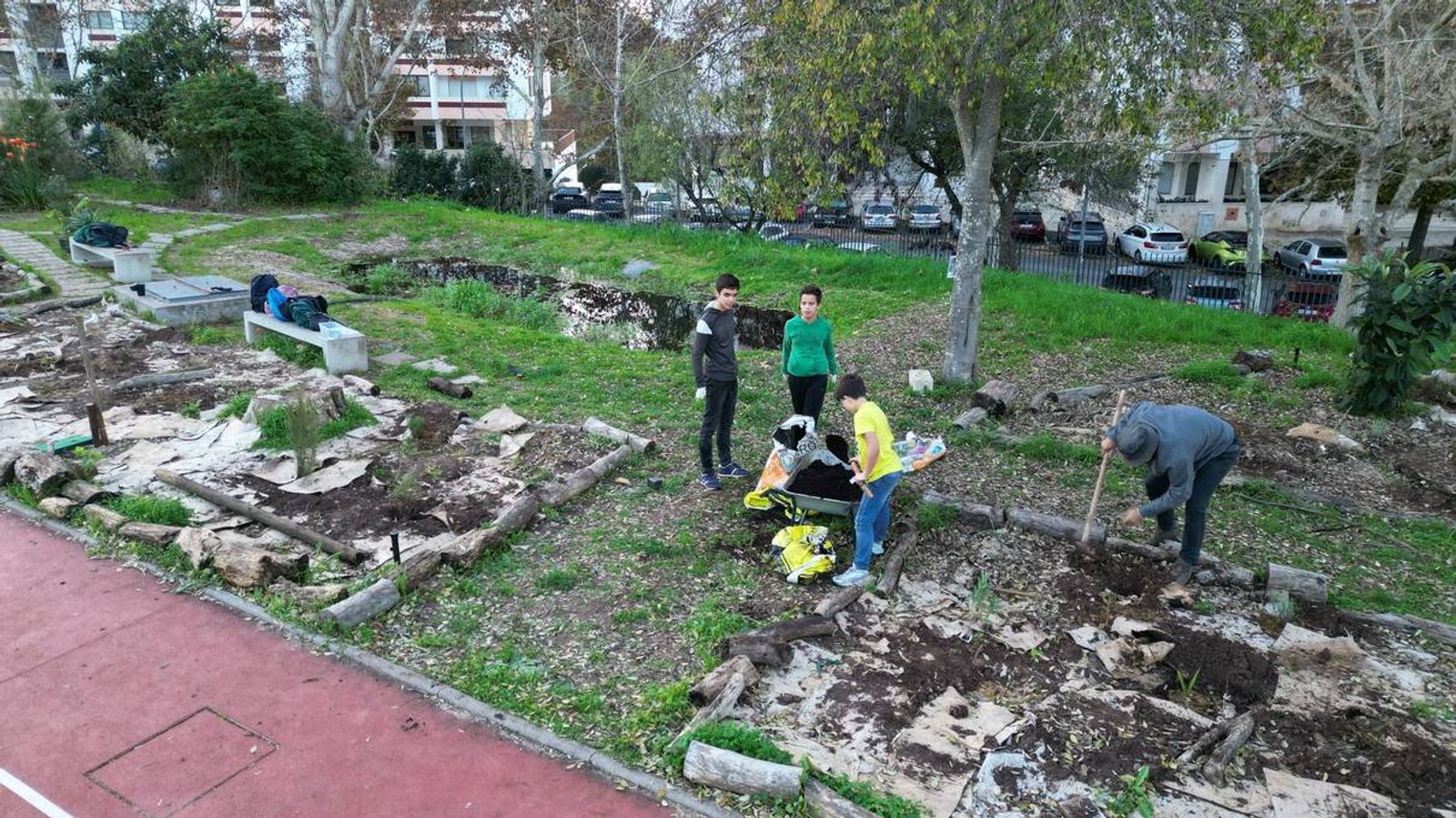 Alunos e professores a plantar.