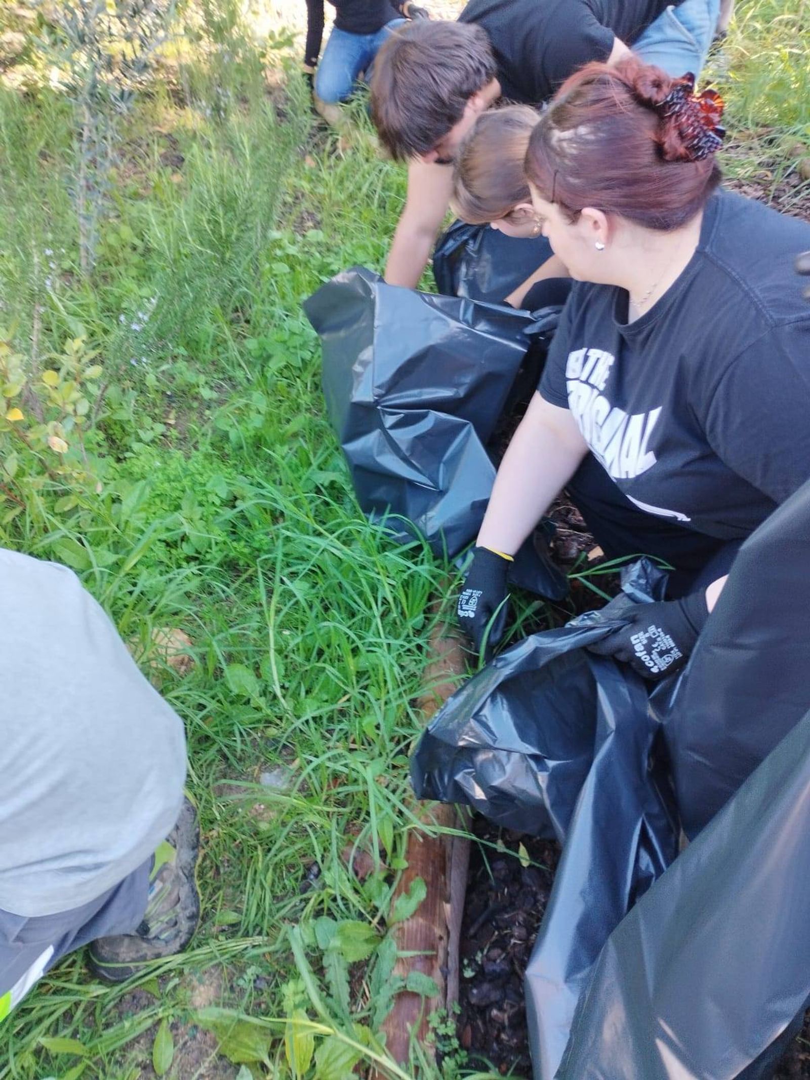 Monda de infestantes da floresta Miyawaki do Agrupamento de Escolas de Almancil