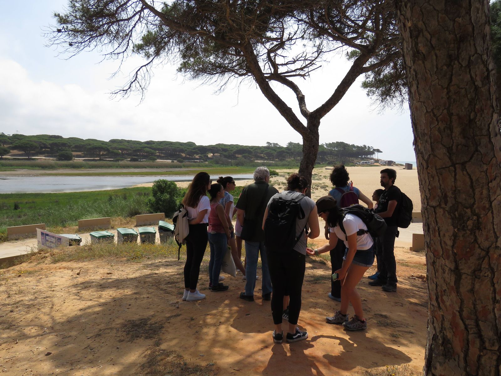 Bioblitz e Alterações Climáticas