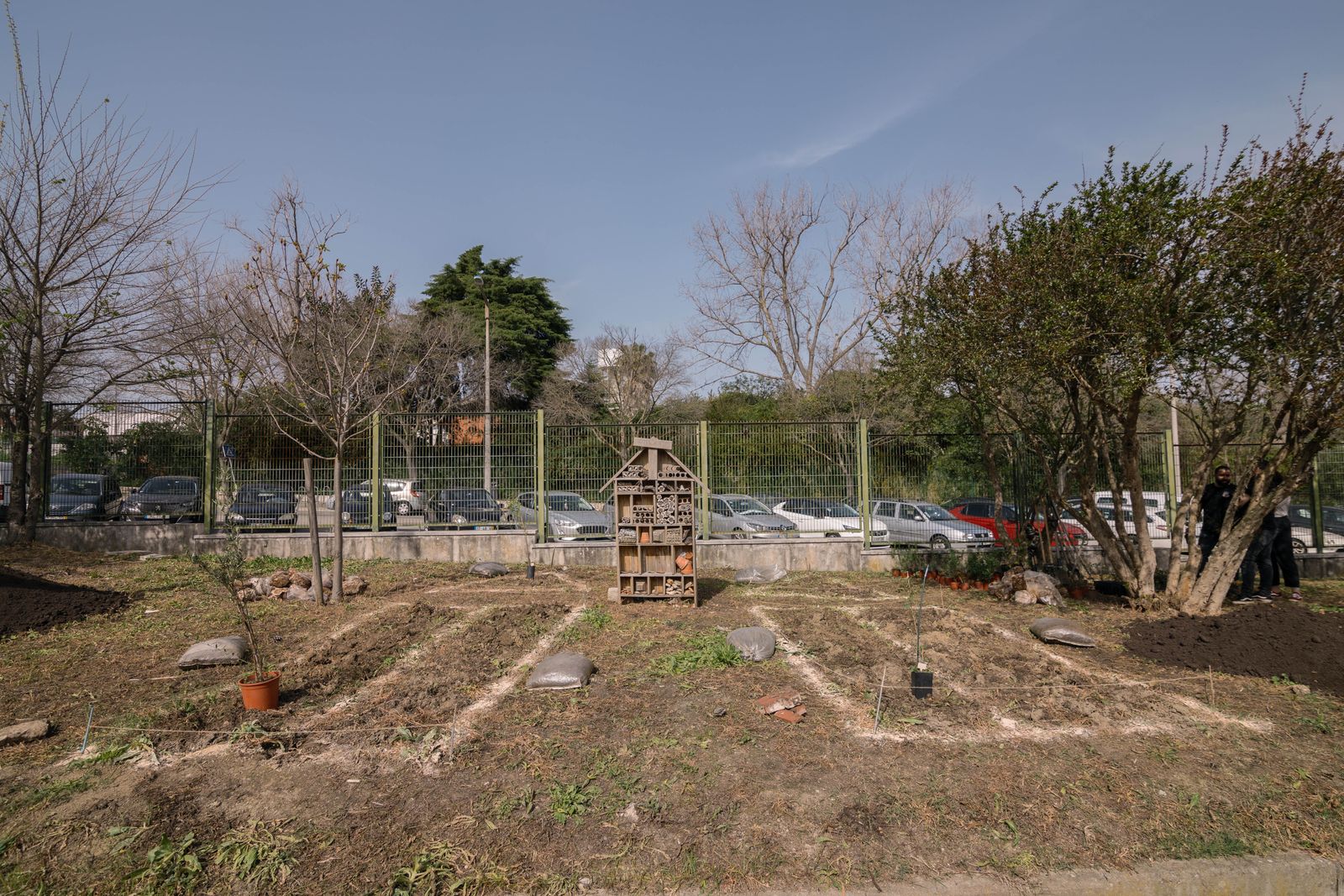 Mini Floresta ISEL - Antes 