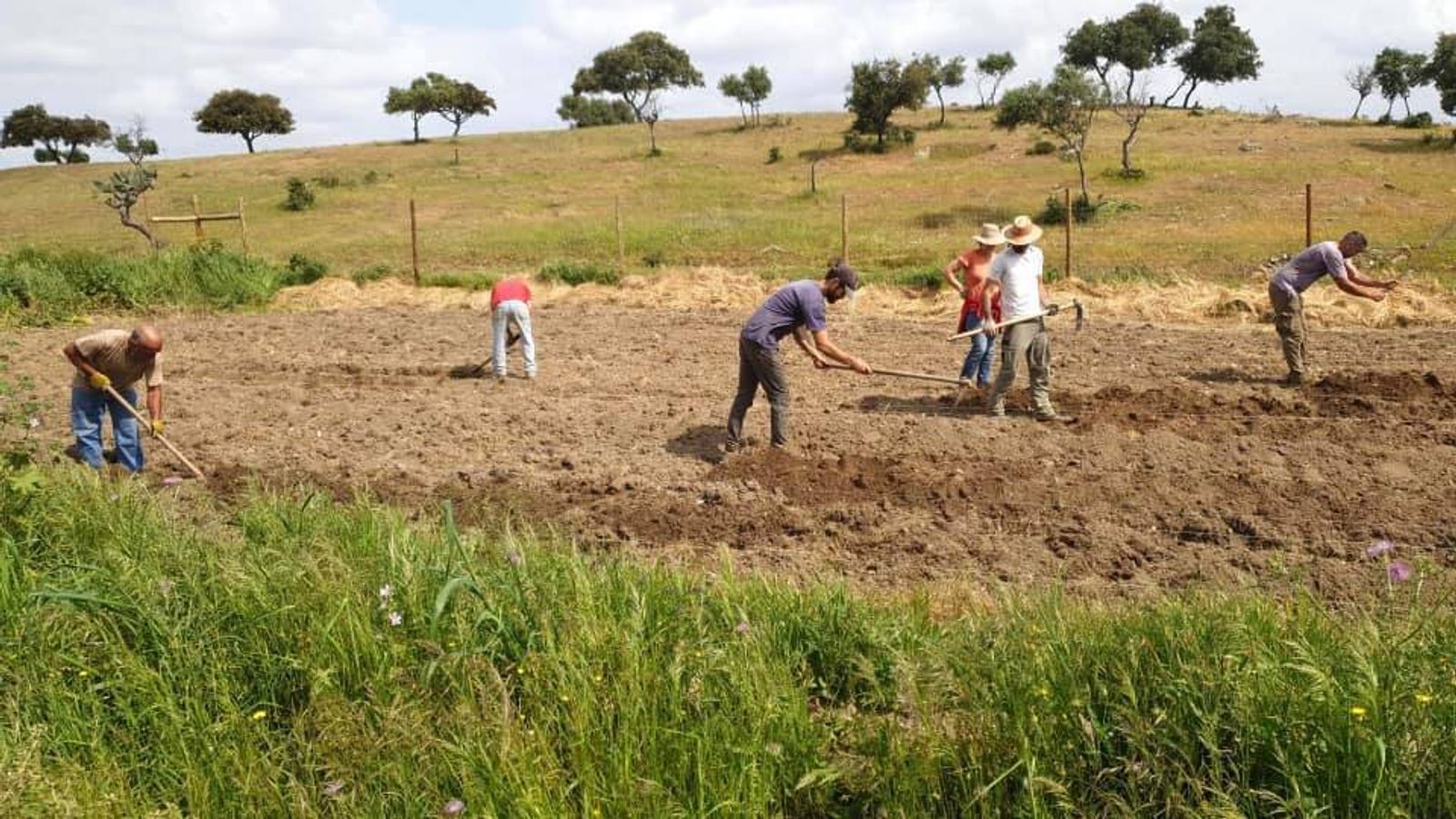 workshop de Hortas