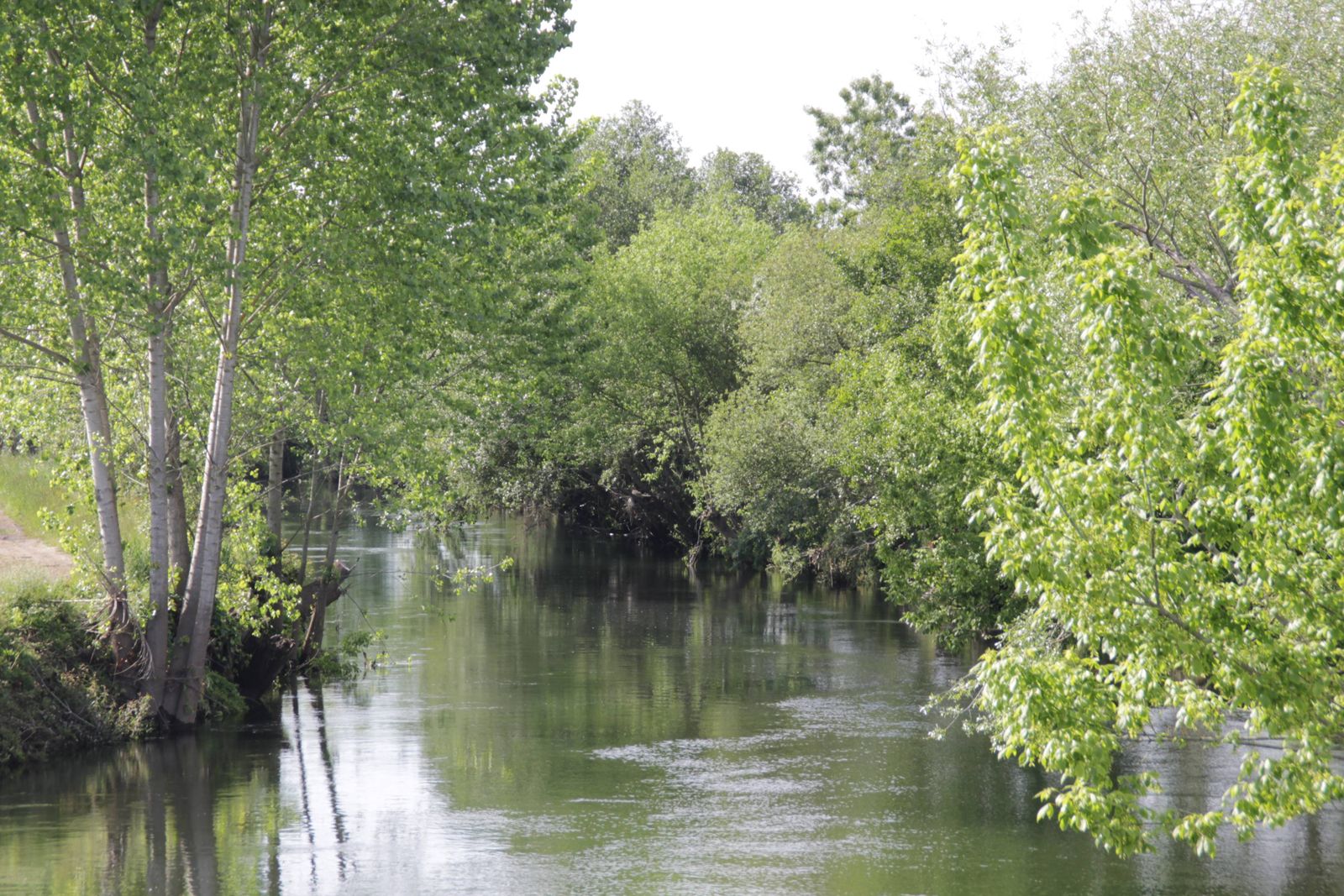 Rio Águeda