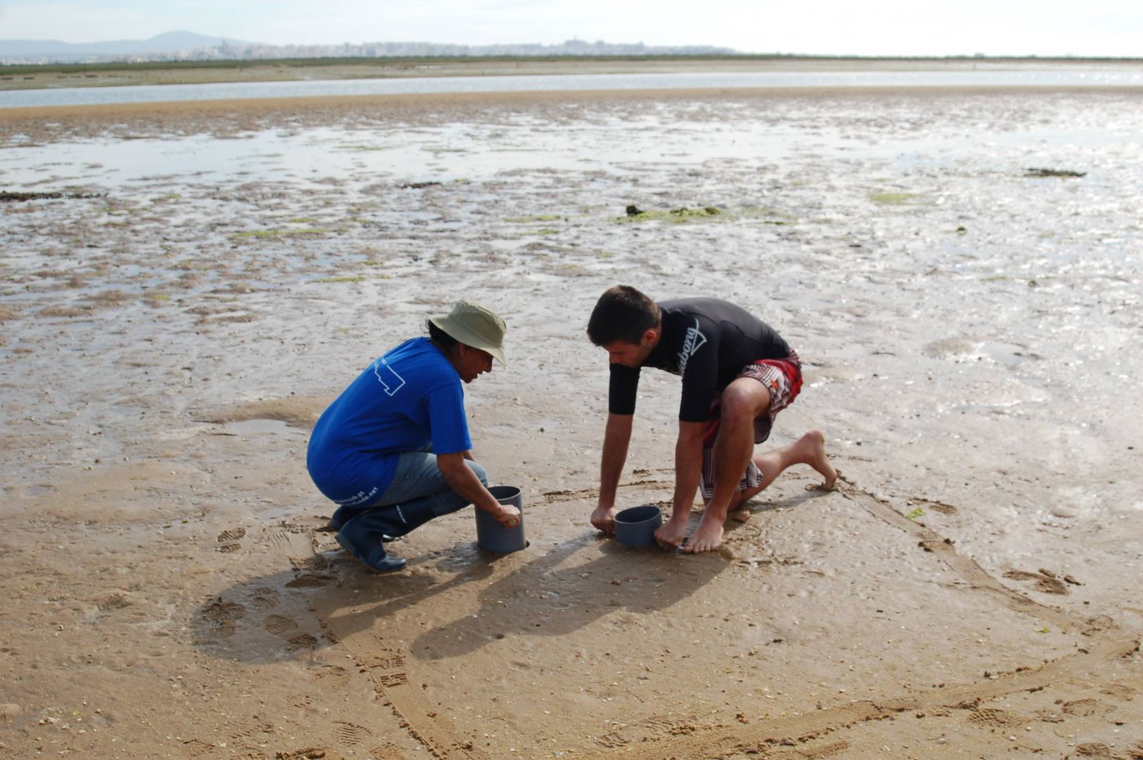 Monitorização MIM na Ria Formosa