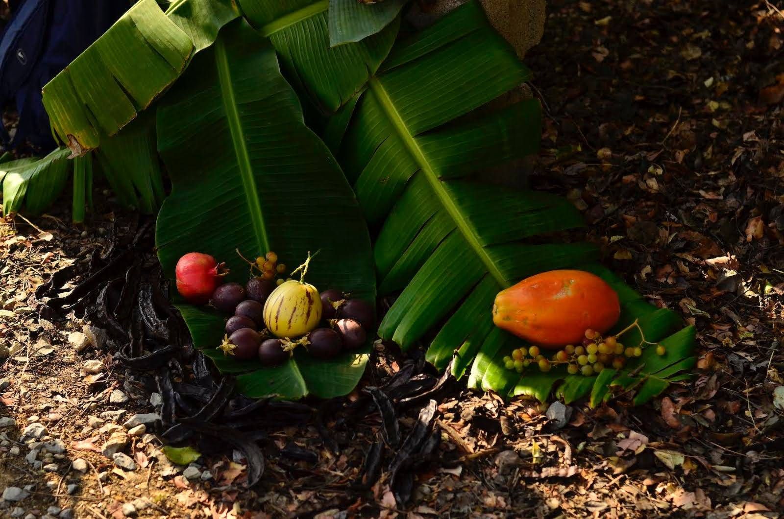 Algumas frutas do Orchard of Flavours