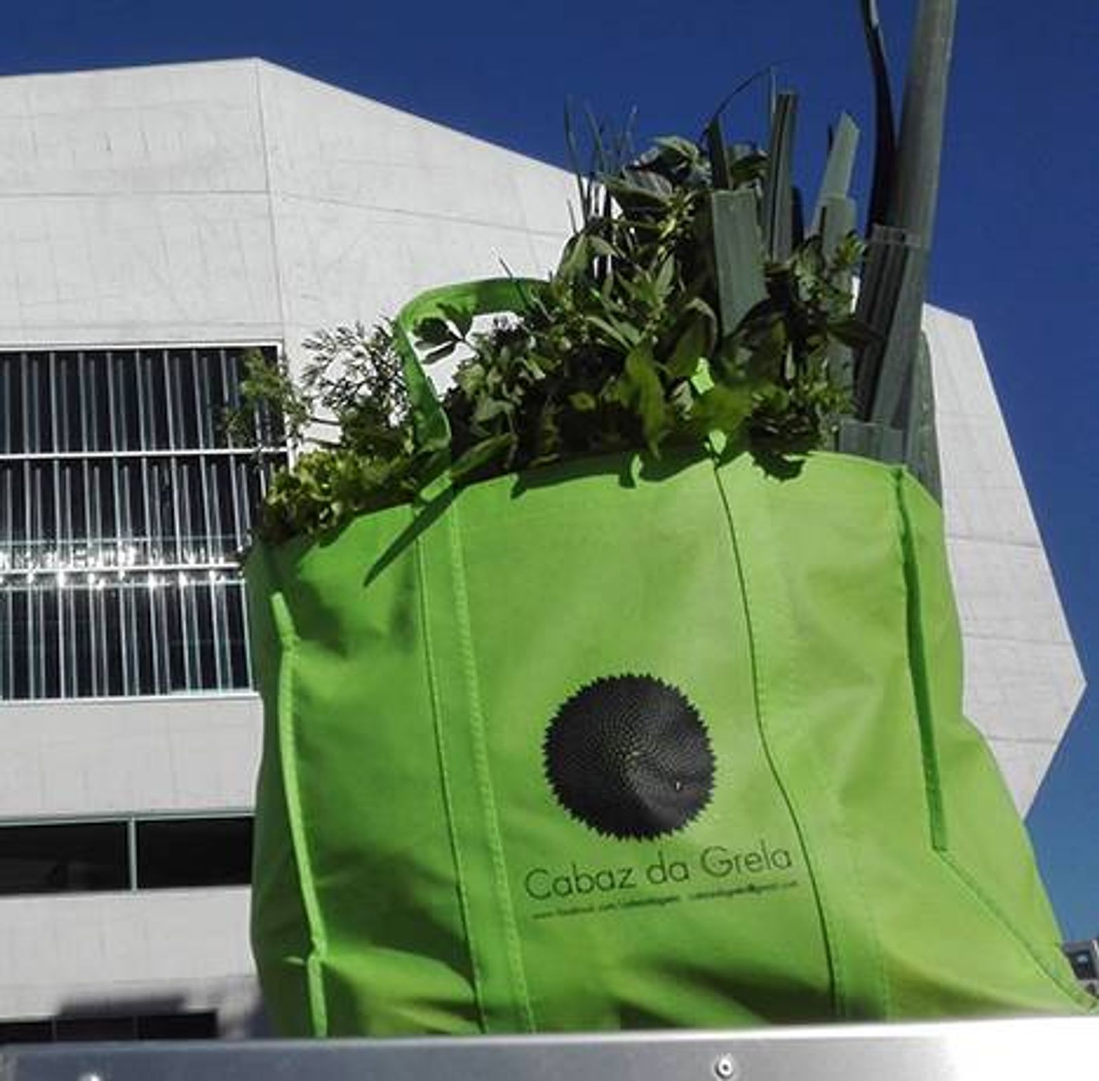 Um dos exemplos dos cabazes de origem local para entrega a uma família beneficiária de apoio alimentar 