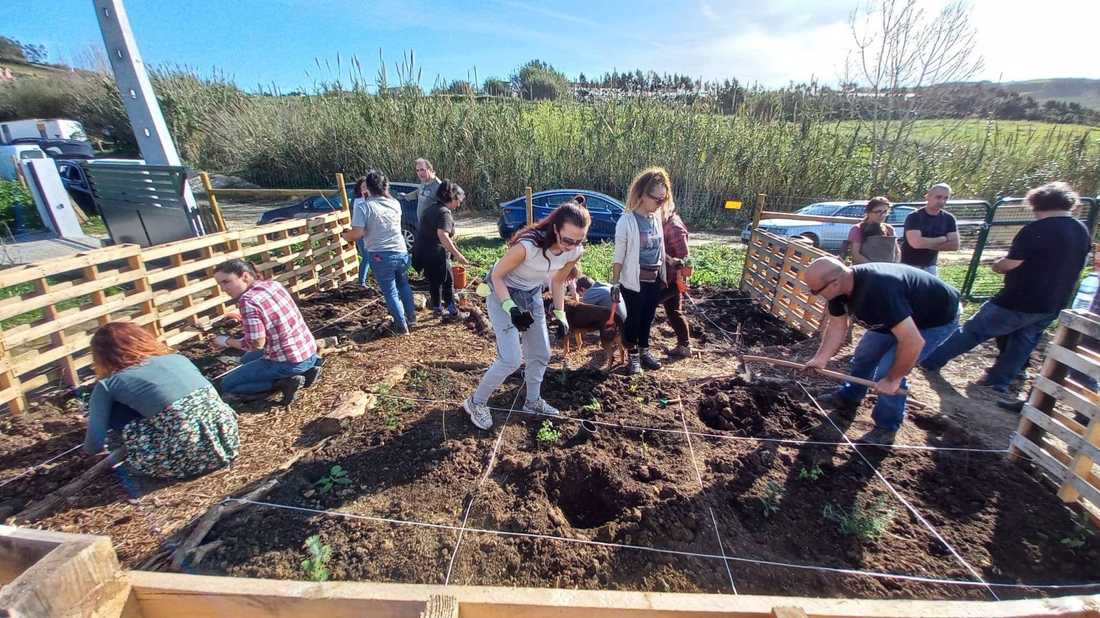 Plantação 17 Fevereiro 2024