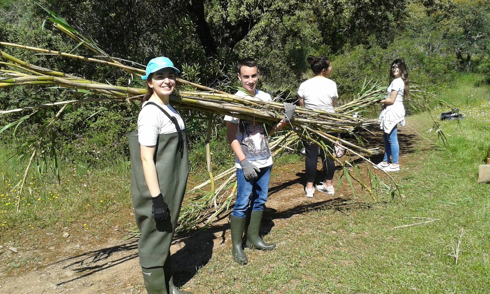 Controlo de Exótica invasora canas na EBIO Alportel com alunos EPALTE