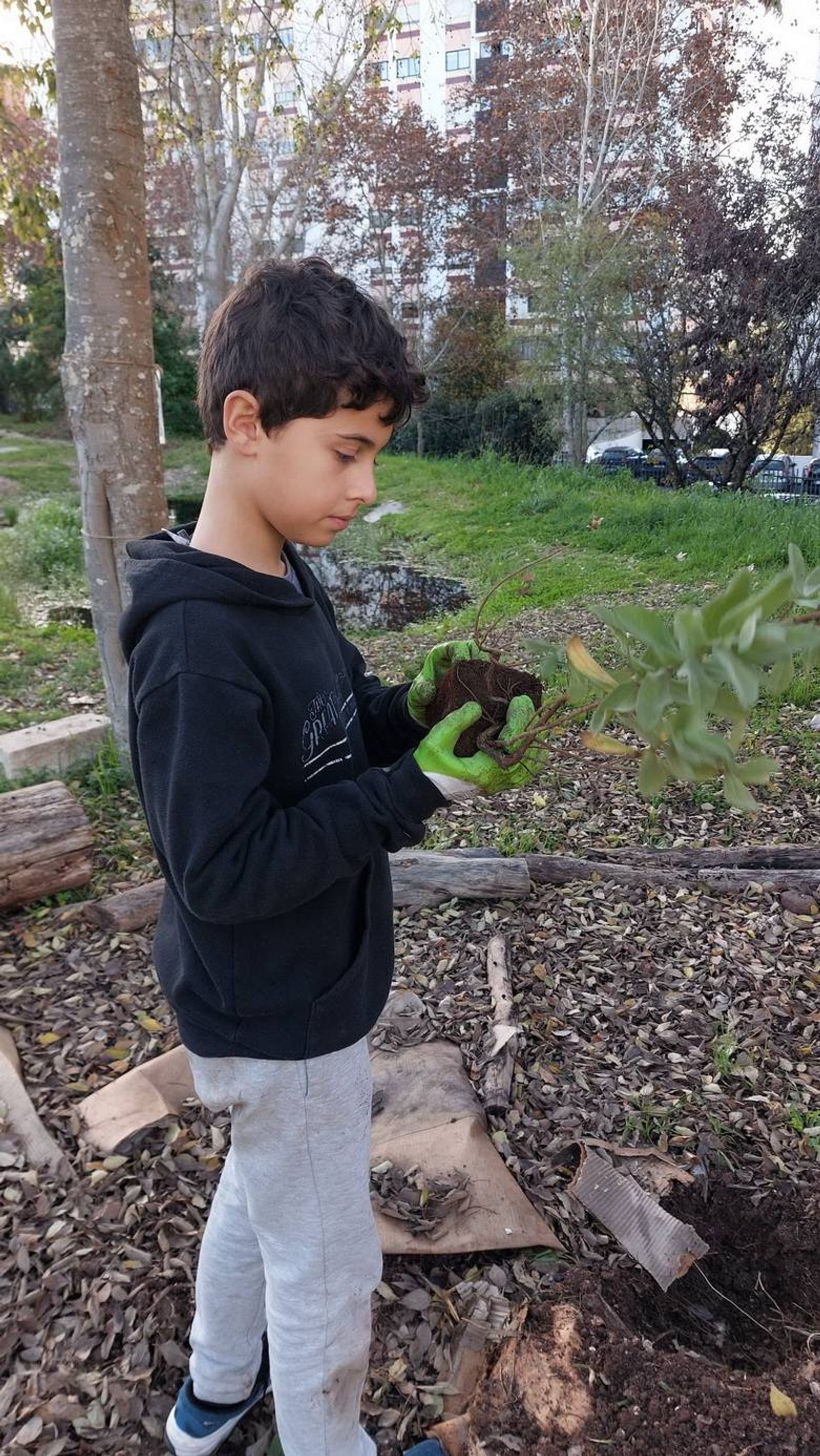 Preparação de uma espécie para plantação.