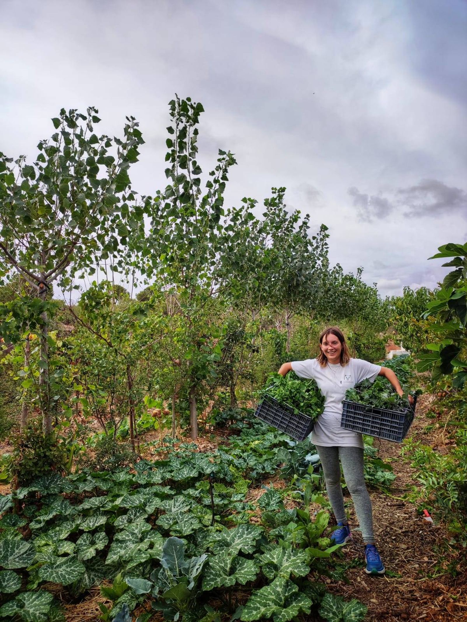 Produção agroecológica