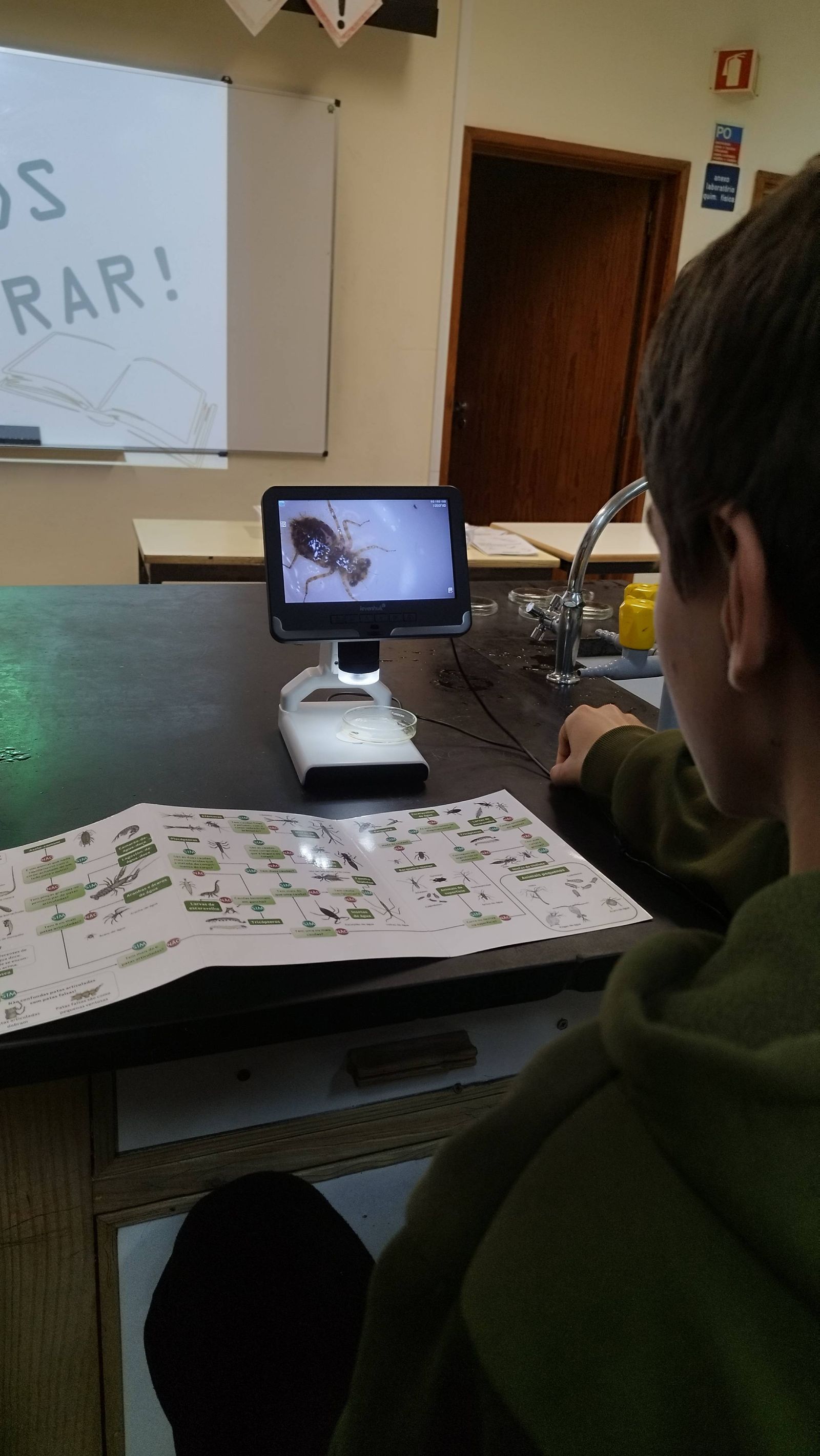 Identificação da biodiversidade no charco 