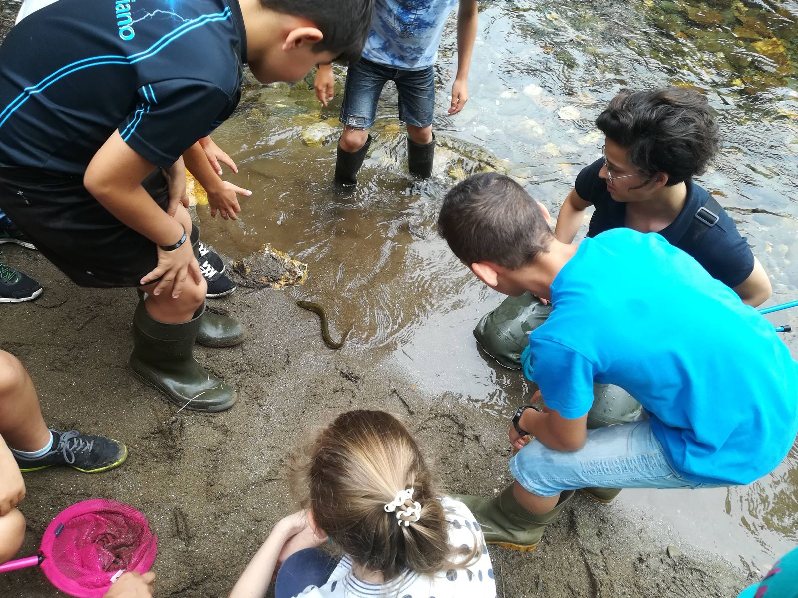 LIFE Águeda - Programa de educação ambiental Life em Férias - temática ictiofauna / devolução de enguia
