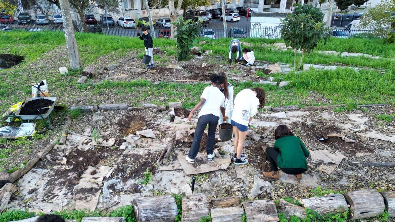 Alunos e professores a plantar.
