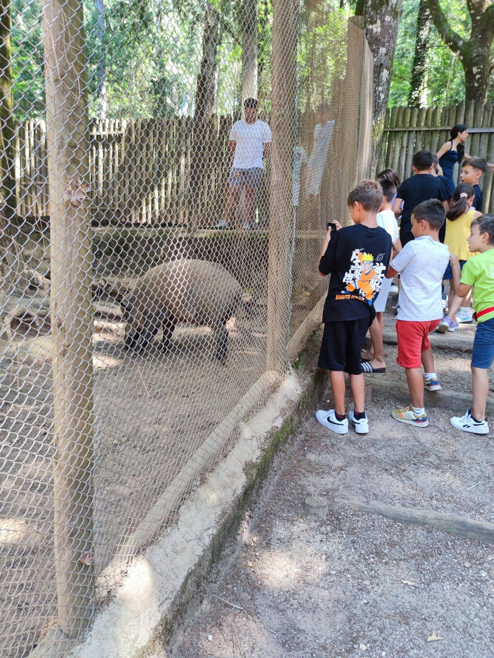 Centro de educação ambiental