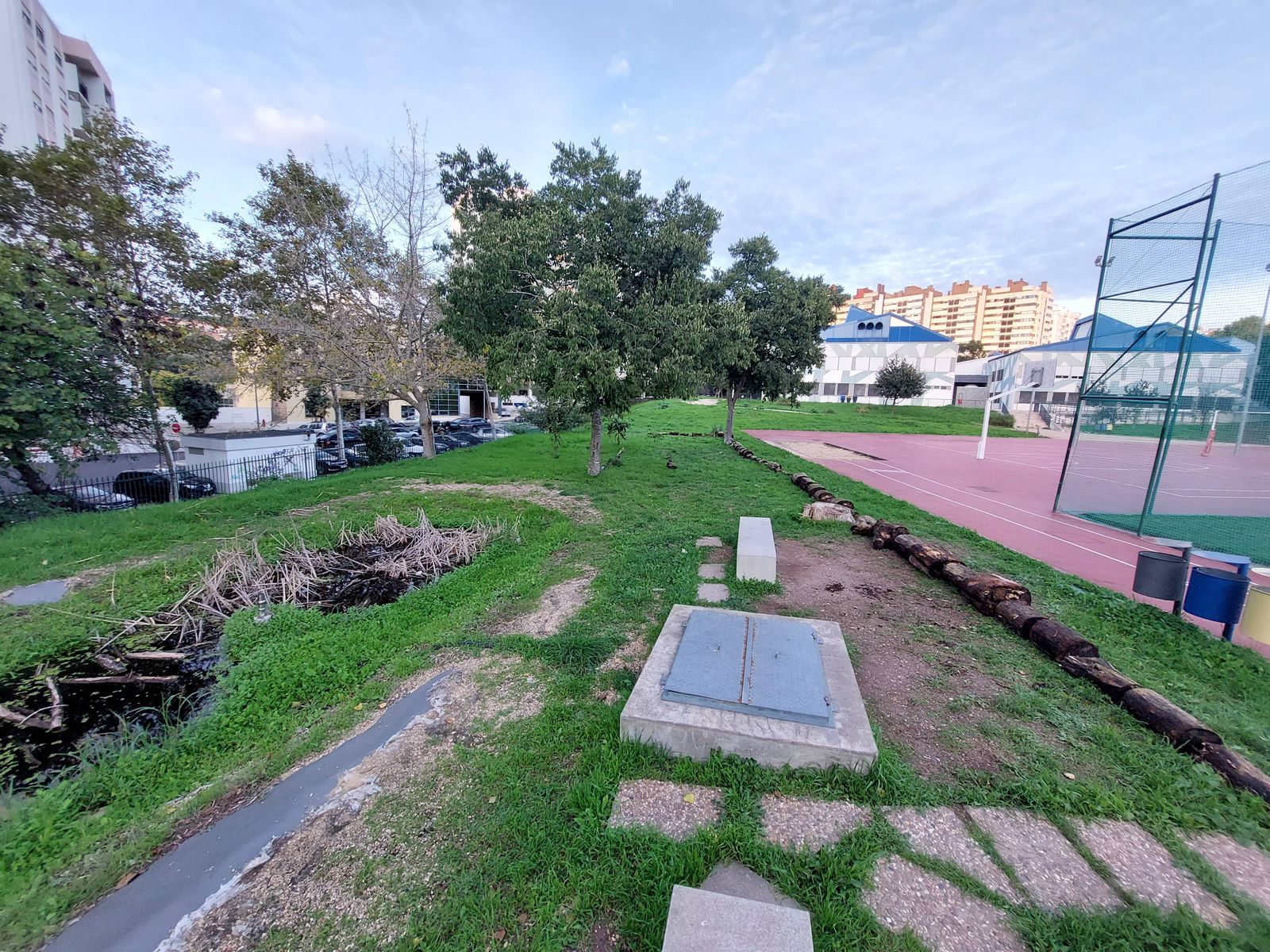 Espaço da futura floresta, com o inicio da delimitação do terreno com troncos.