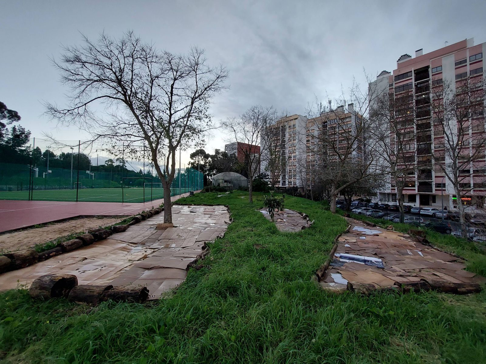 Zonas de plantação forradas com cartão.
