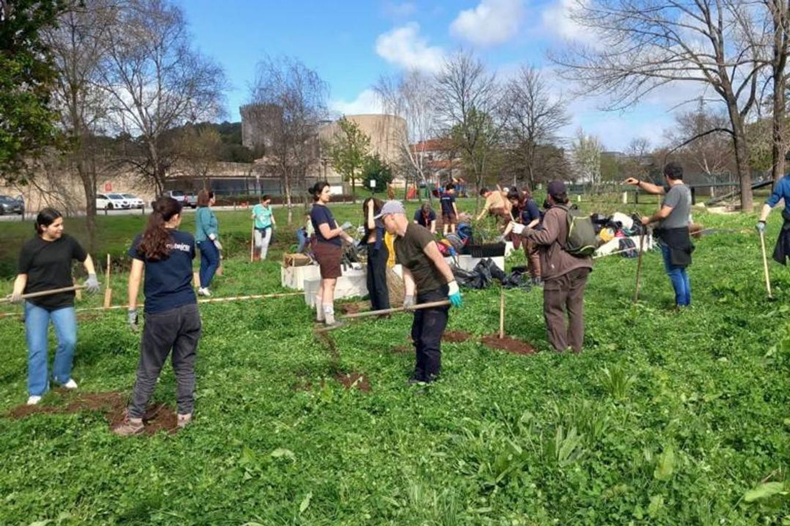 Plantação de árvores. Disponível em: https://www.cm-matosinhos.pt/servicos/comunicacao-e-imagem/noticias/noticia/plantacao-de-arvores-89
