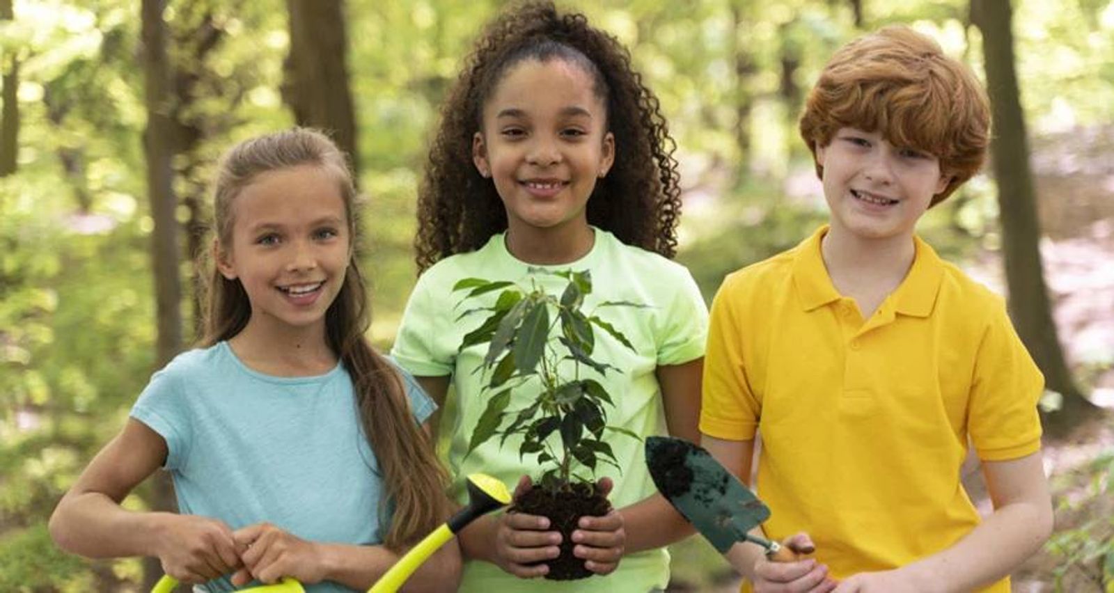 programa de educação sobre sustentabilidade