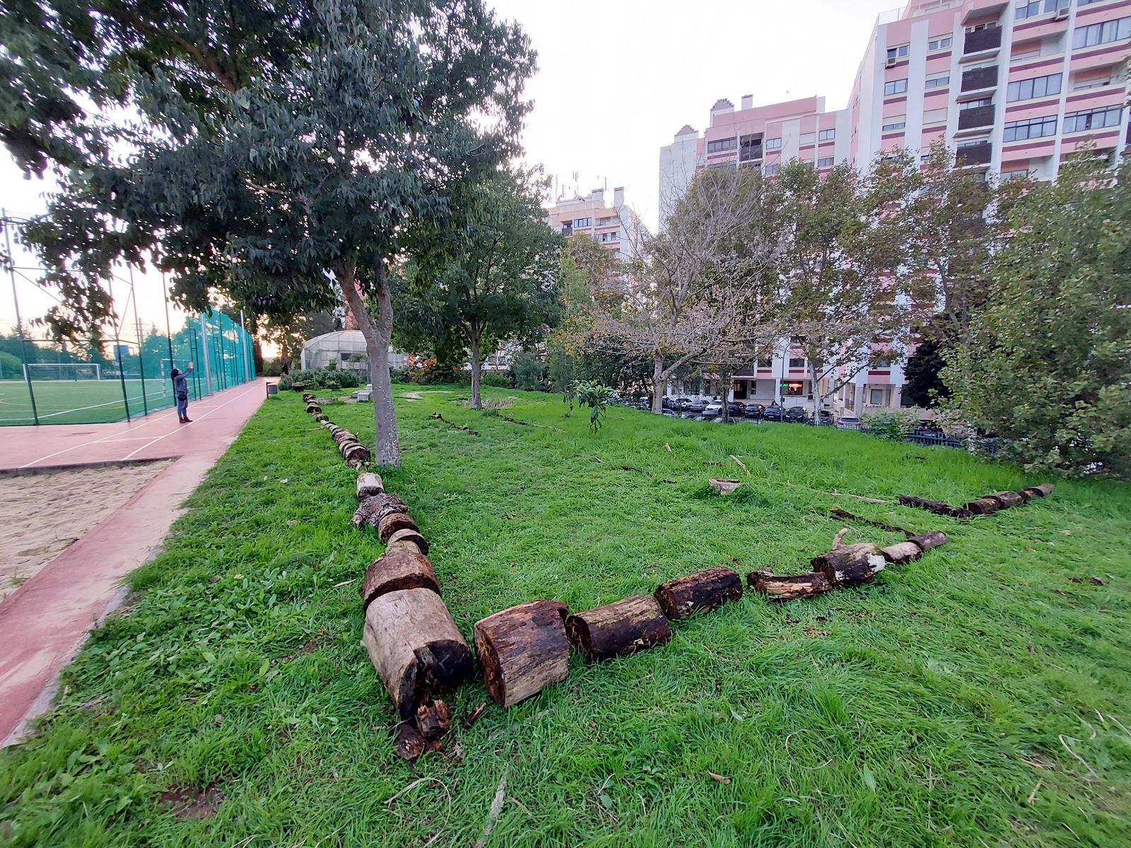 Zona de implementação da floresta com delimitação com troncos das zonas a plantar.