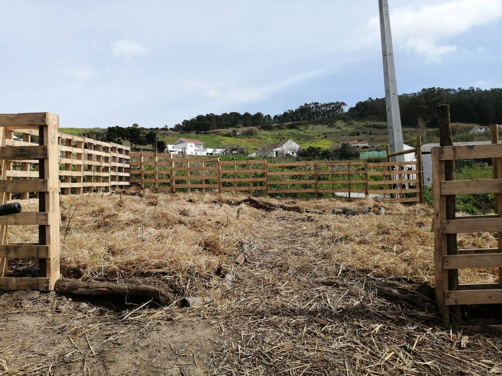 Após plantação
