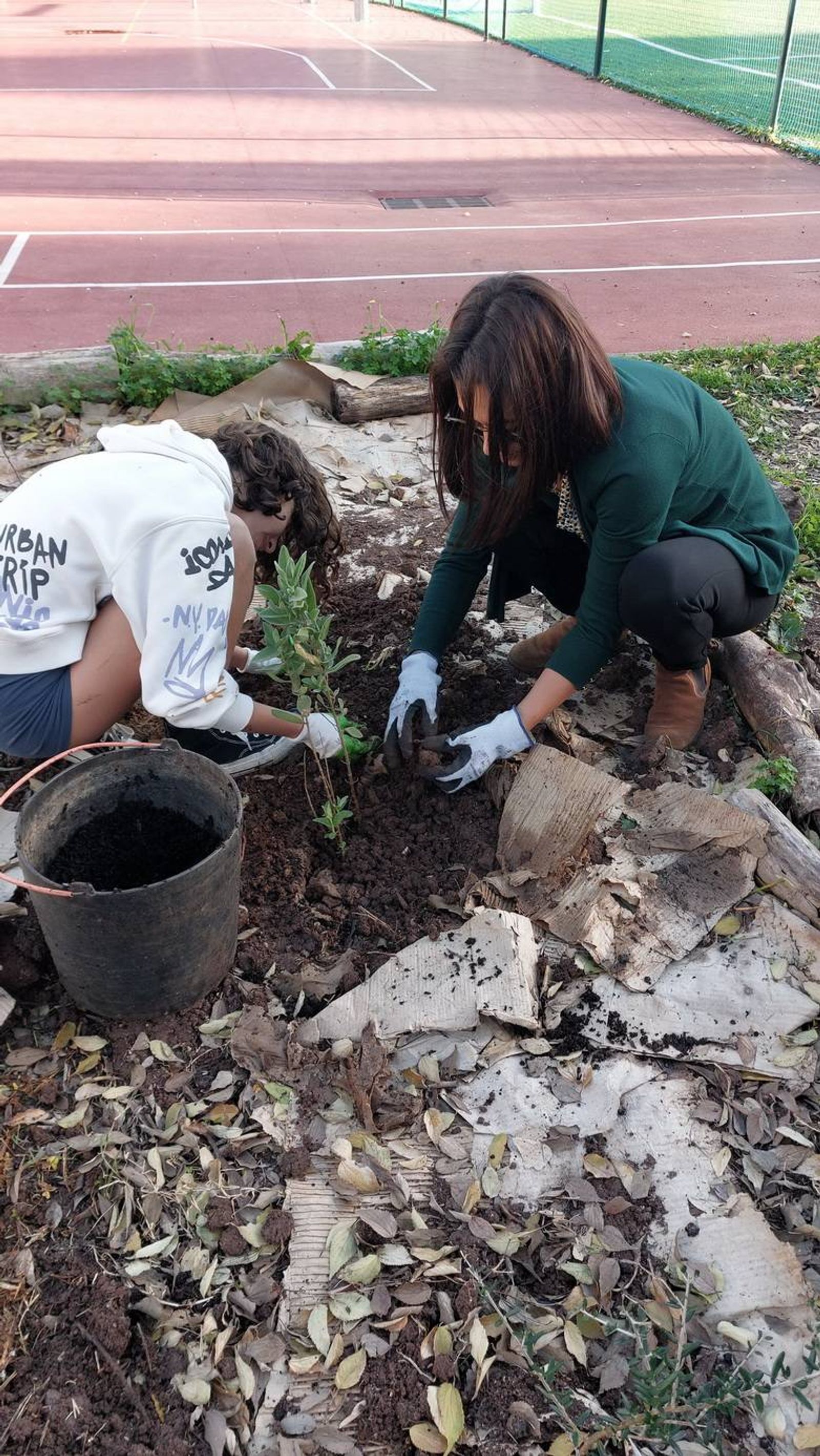 Alunos a plantar as espécies.