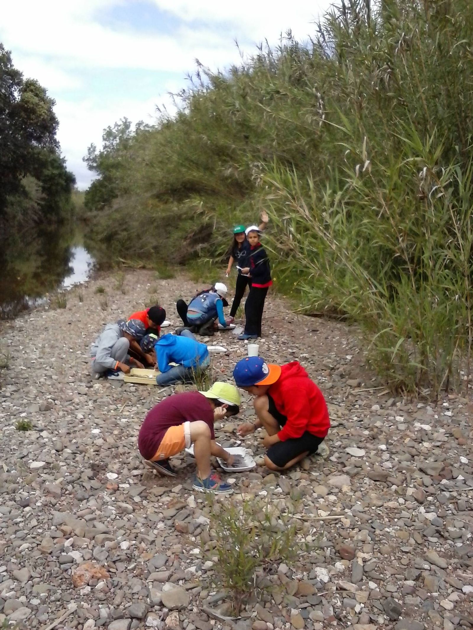 Monitorização MIB com alunos  1º ciclo de Faro na rib. Algibre, Loulé