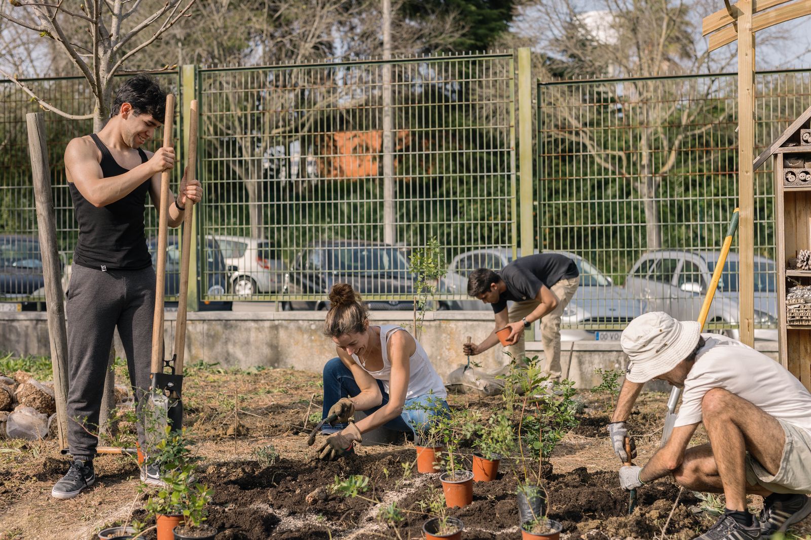 Dia Plantação Minifloresta ISEL 