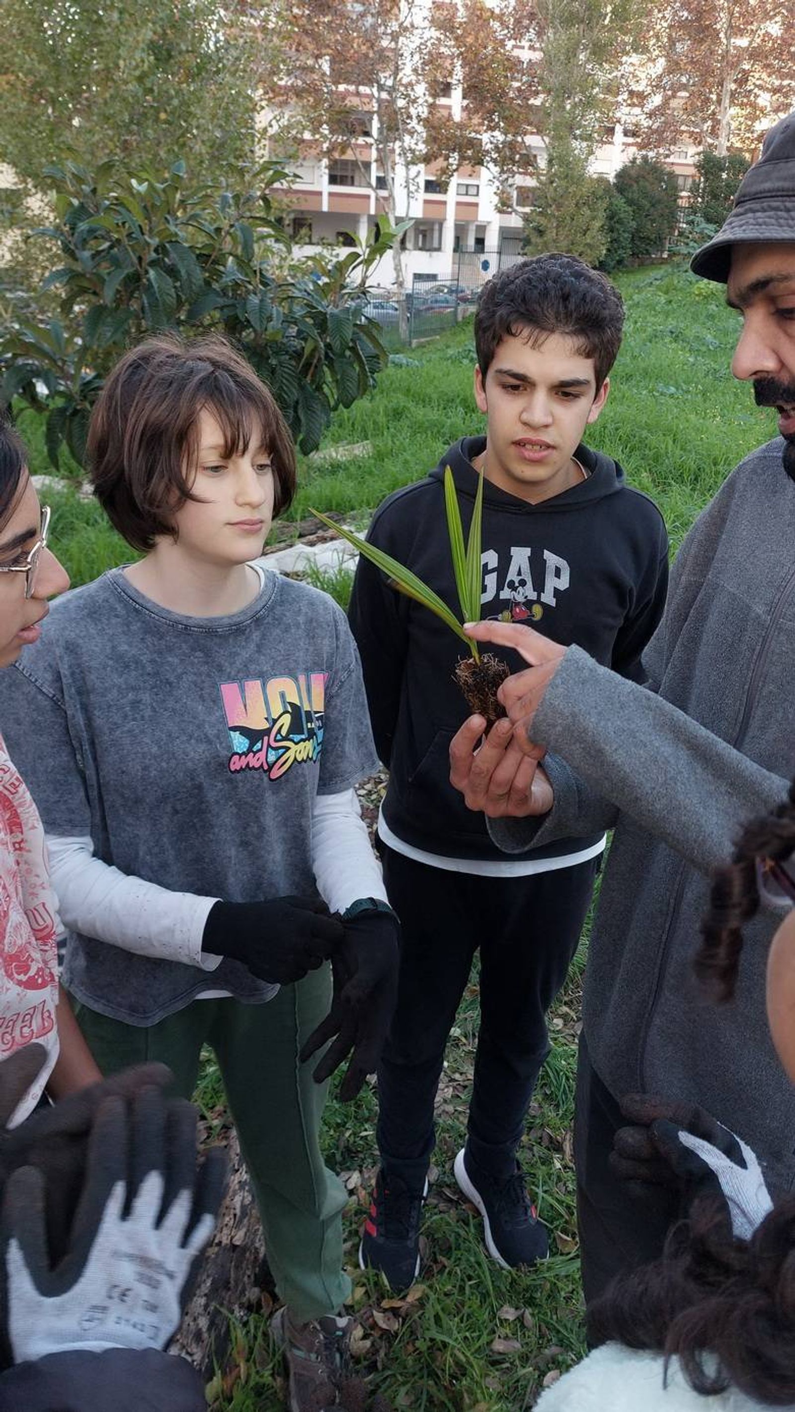 Esclarecimento de dúvidas do investigador aos alunos de como plantar as diferentes espécies.