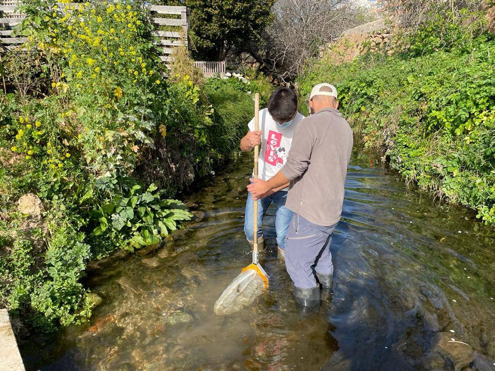Recolha de macroinvertebrados bentónicos. 2022