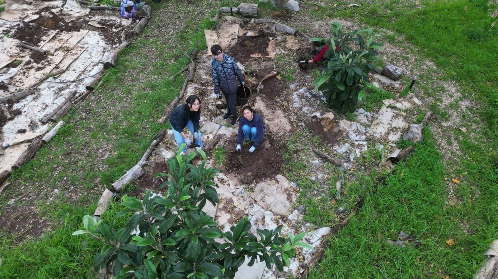 Vista aérea dos alunos durante a plantação das espécies.
