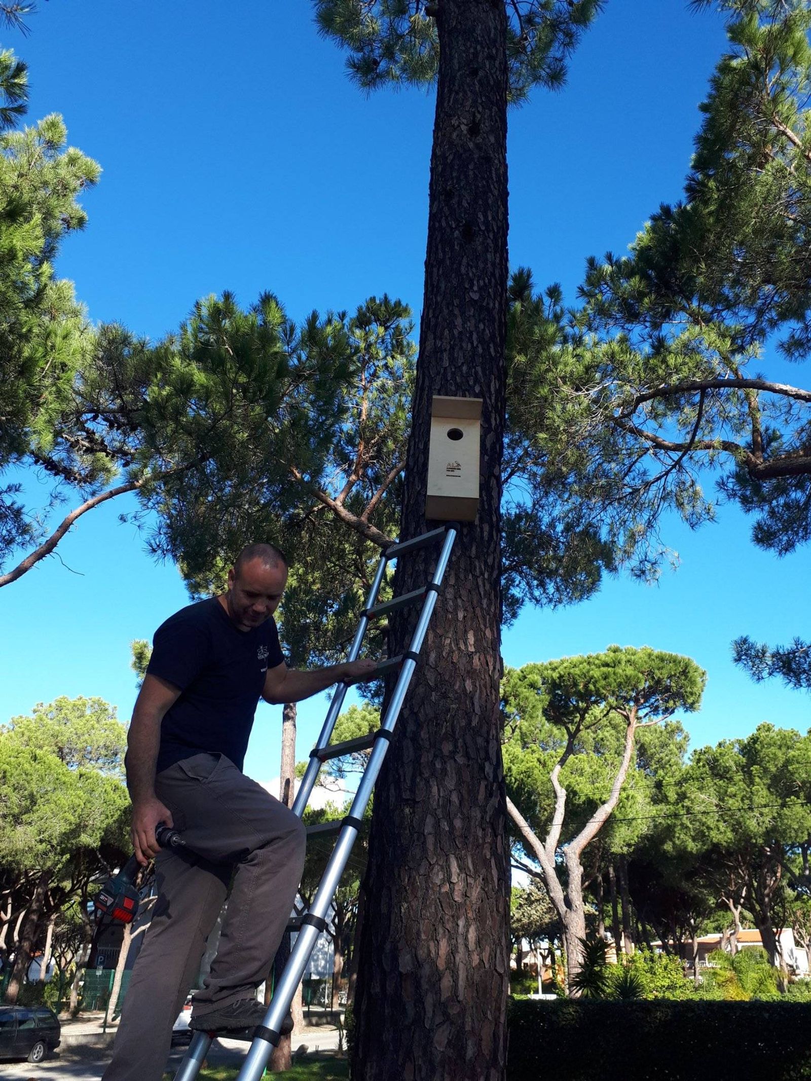 Alojamento Local para Aves