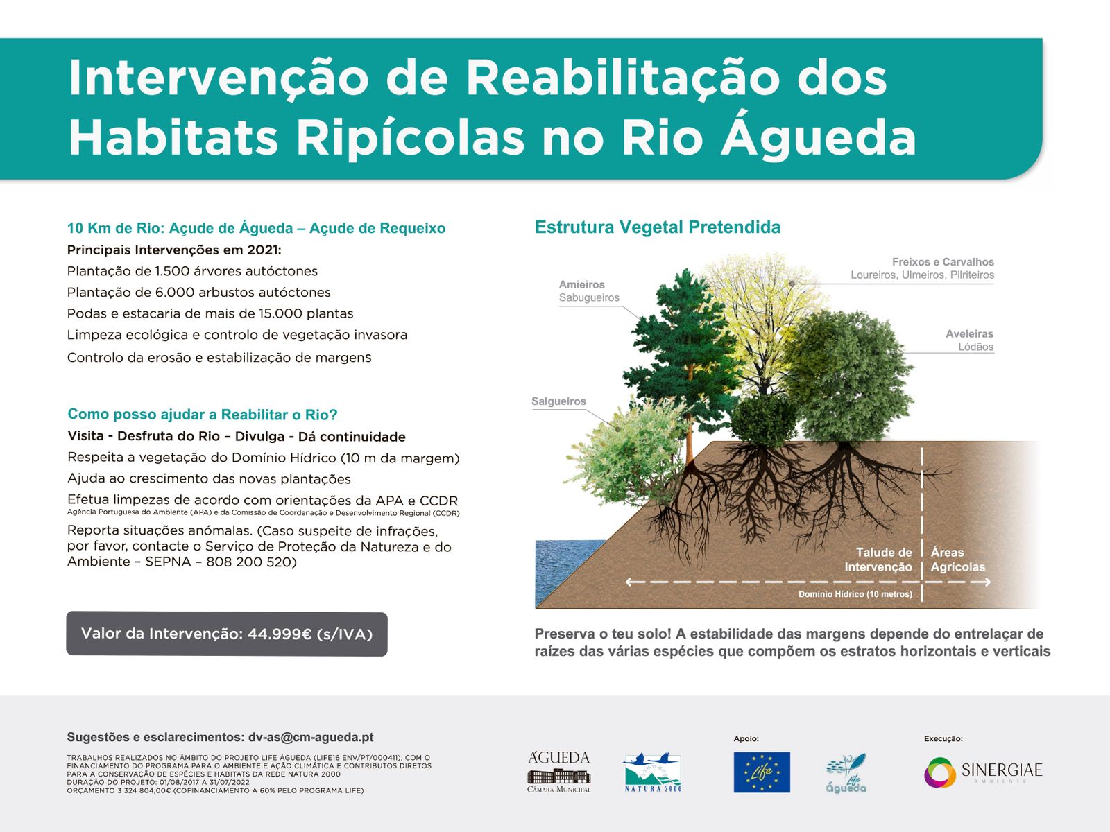 Painel de sensibilização ambiental - intervenção de melhoria da vegetação ripária