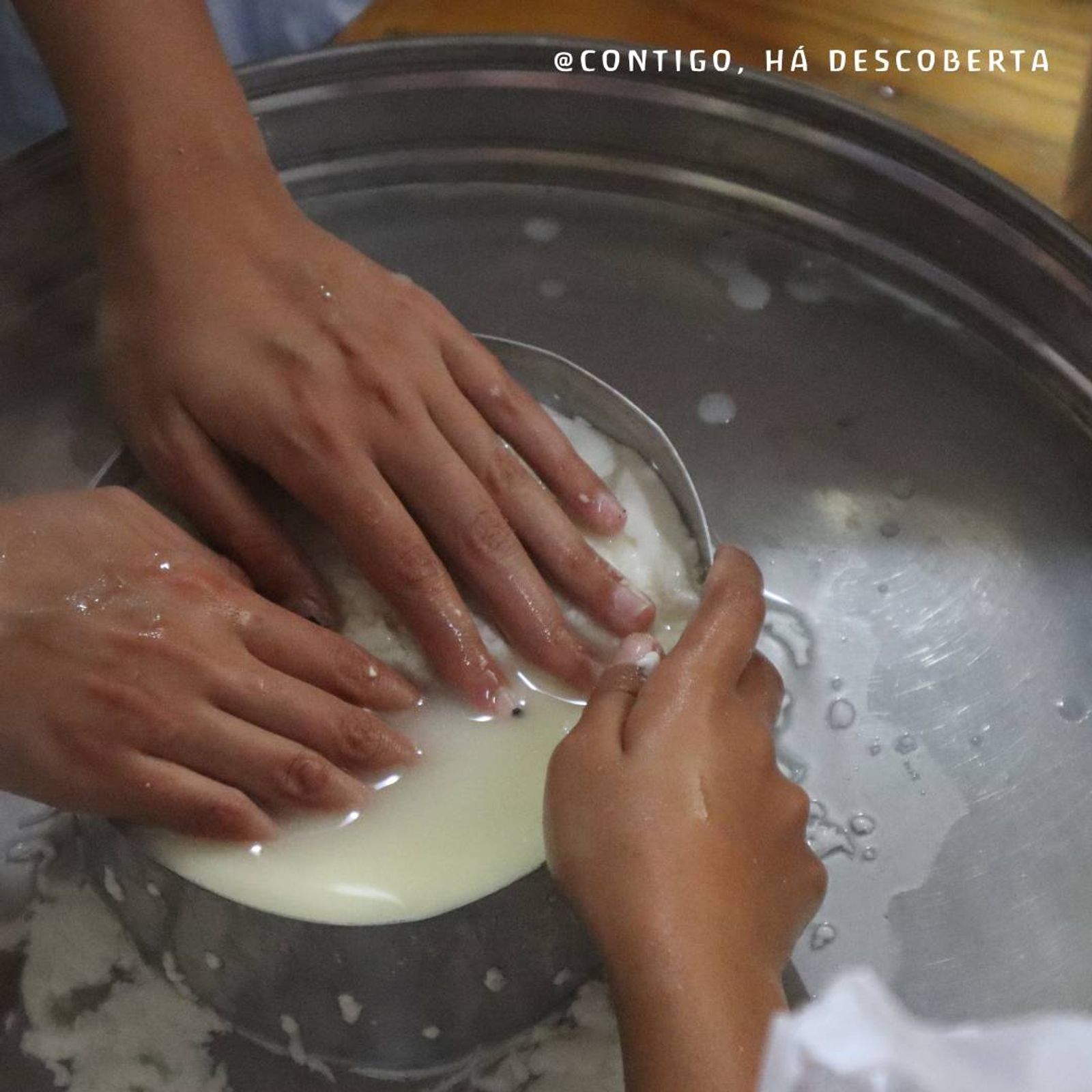 Confeção de queijo fresco na Quinta dos "3 Sois"