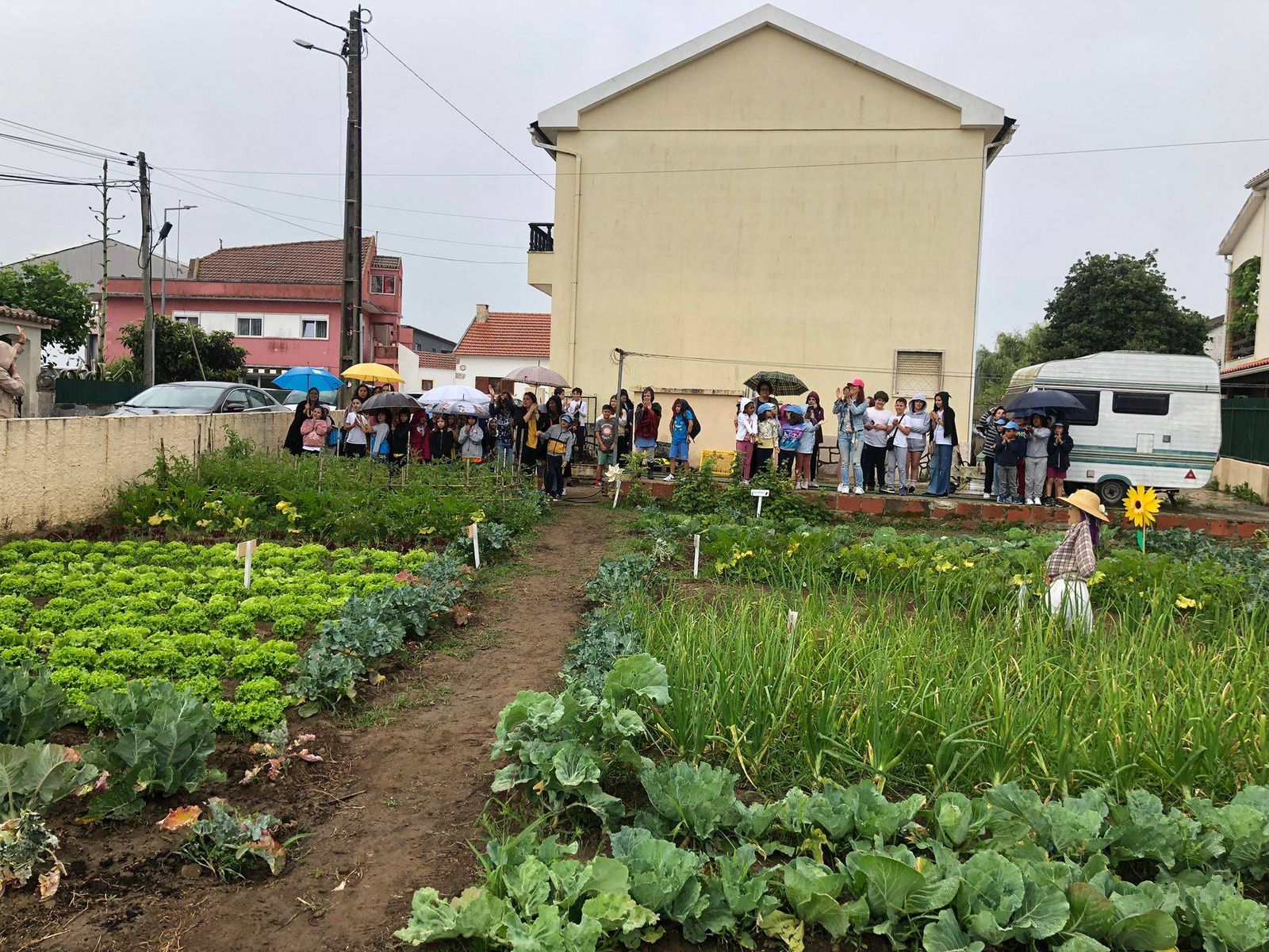 Horta pedagógica na Escola Básica Nº1 da Venda do Pinheiro