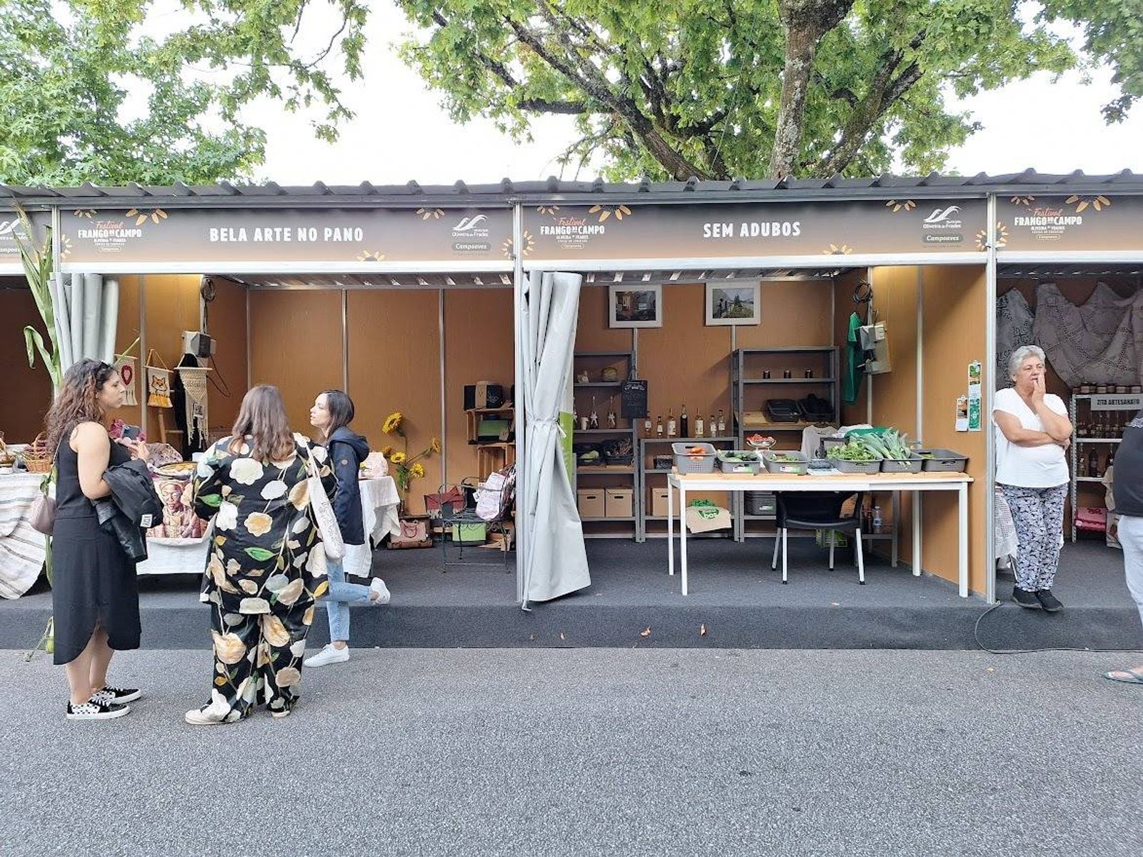 Associação Sem Adubos nas Festas da Vila de Oliveira de Frades 2023