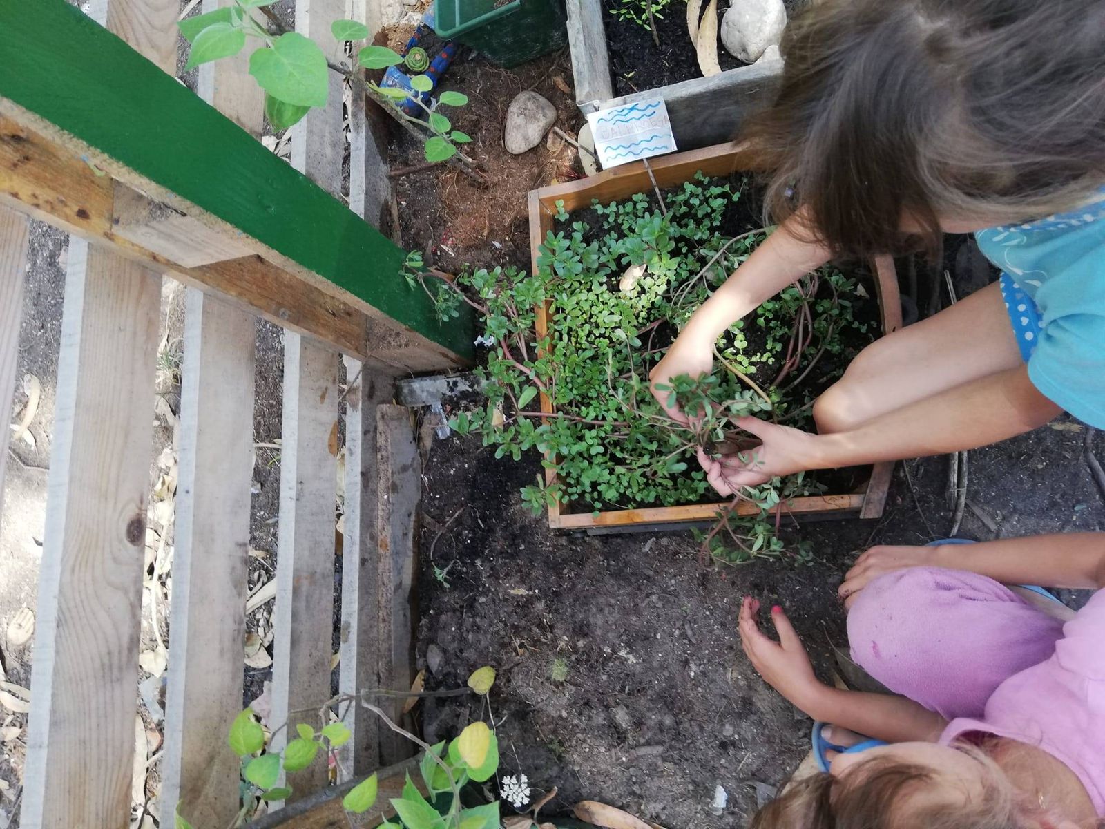 Construímos uma Horta!