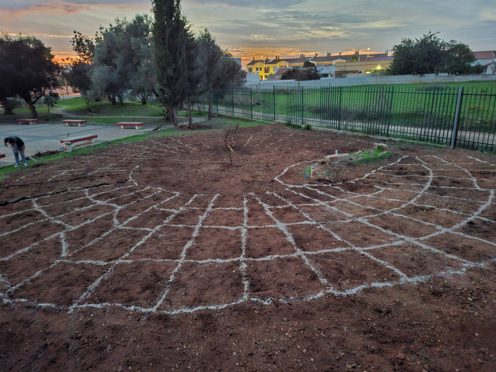 Marcação da área de plantação