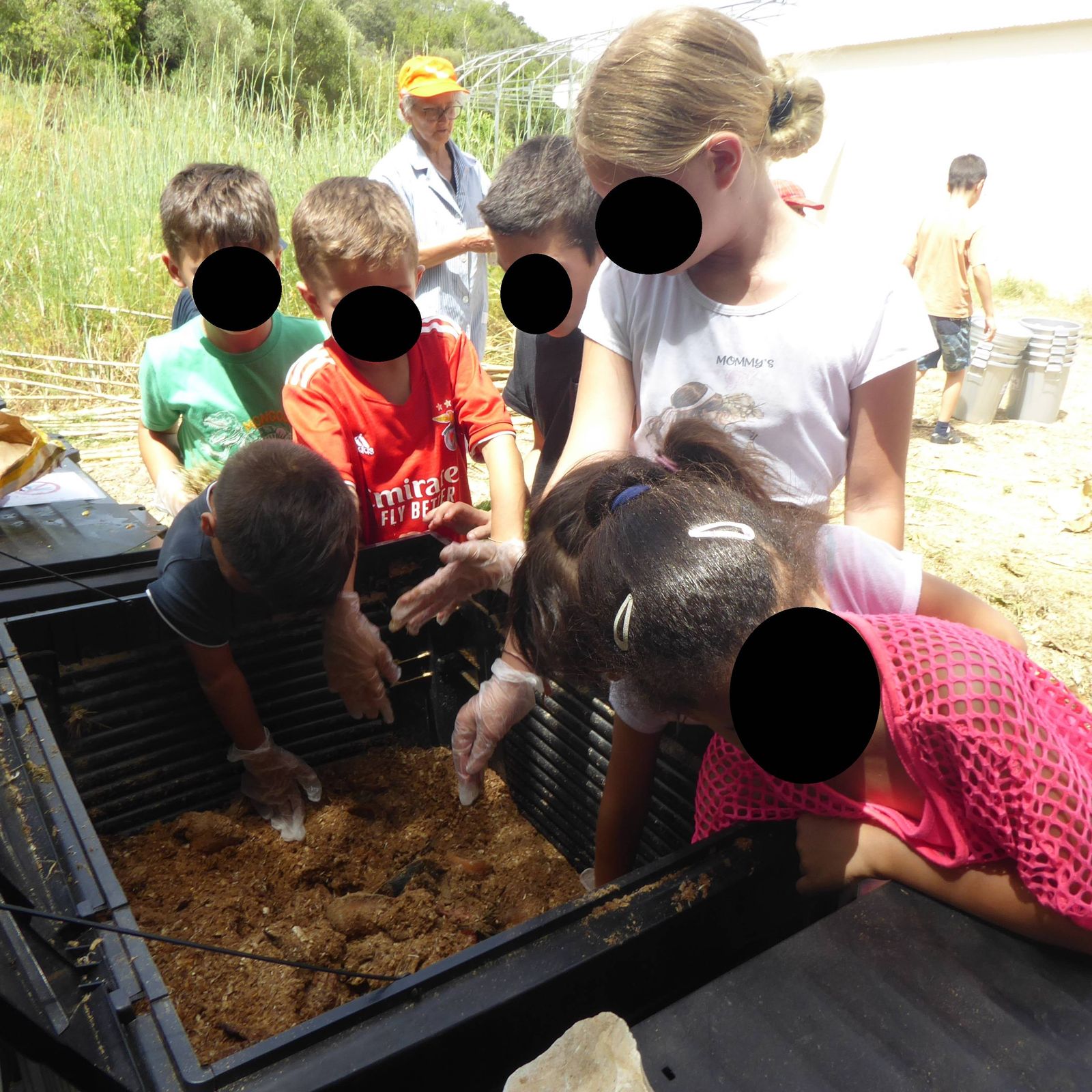 Verificar a temperatura do composto