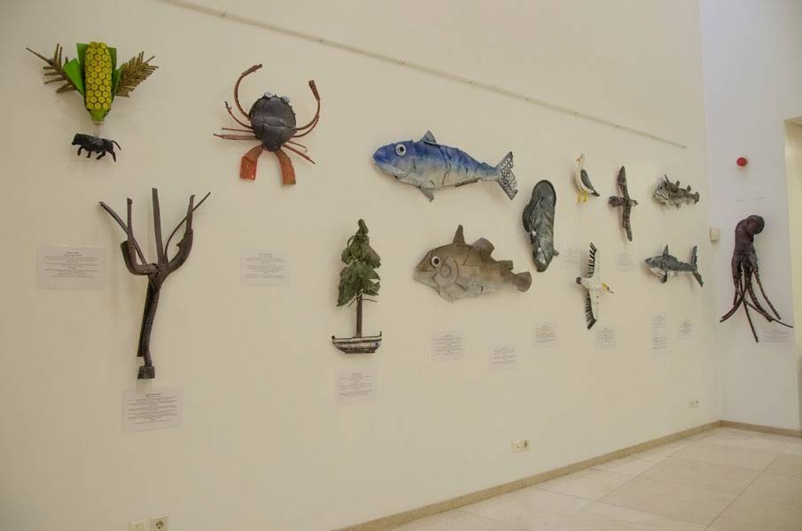 Exposição "Biodiversidade que nos conta História"  Com elementos da biodiversidade local, construídos com lixo marinho, é contada a forma como se desenvolveu a pesca em Vila Chã