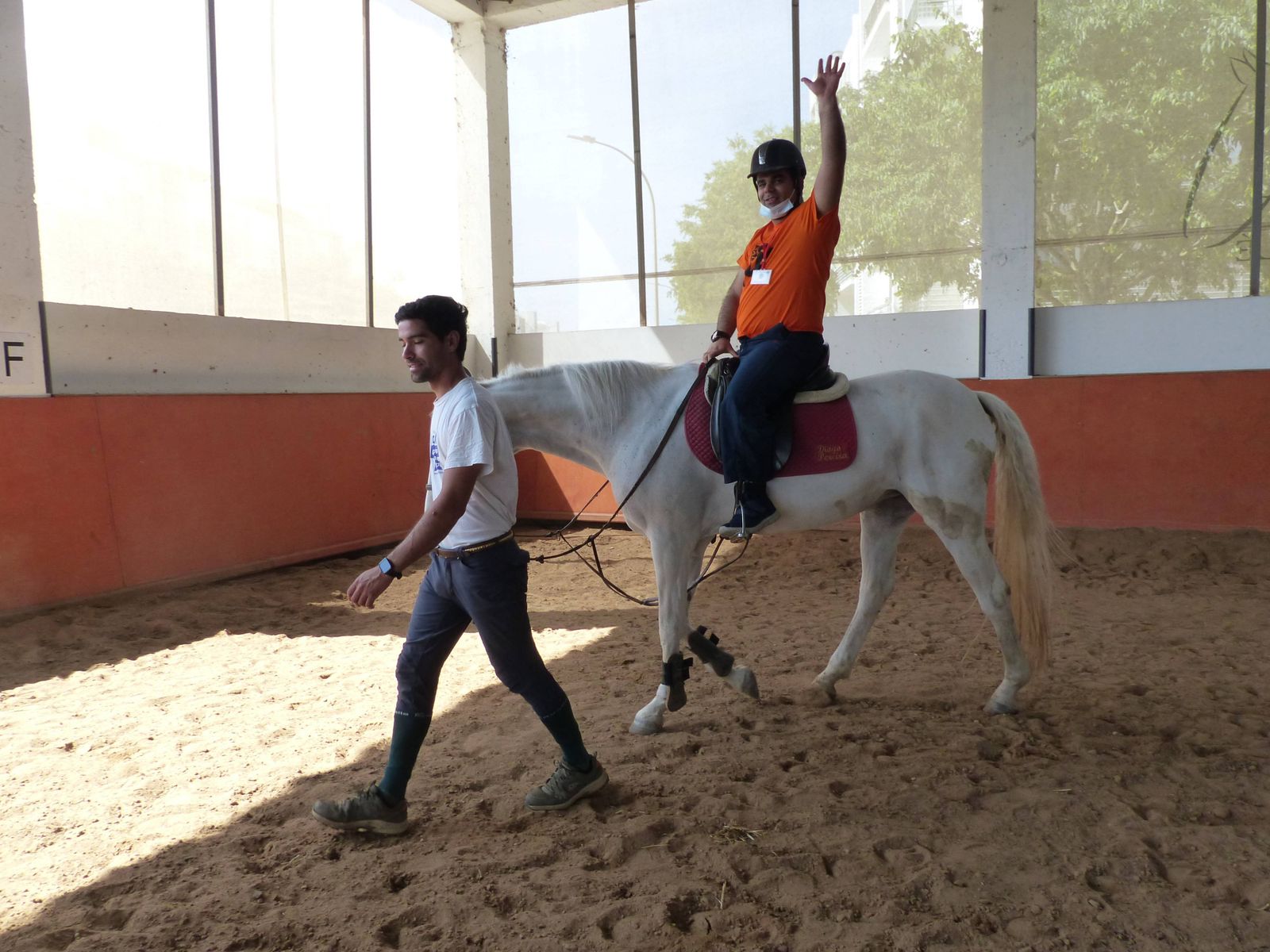 Hipoterapia - exercícios