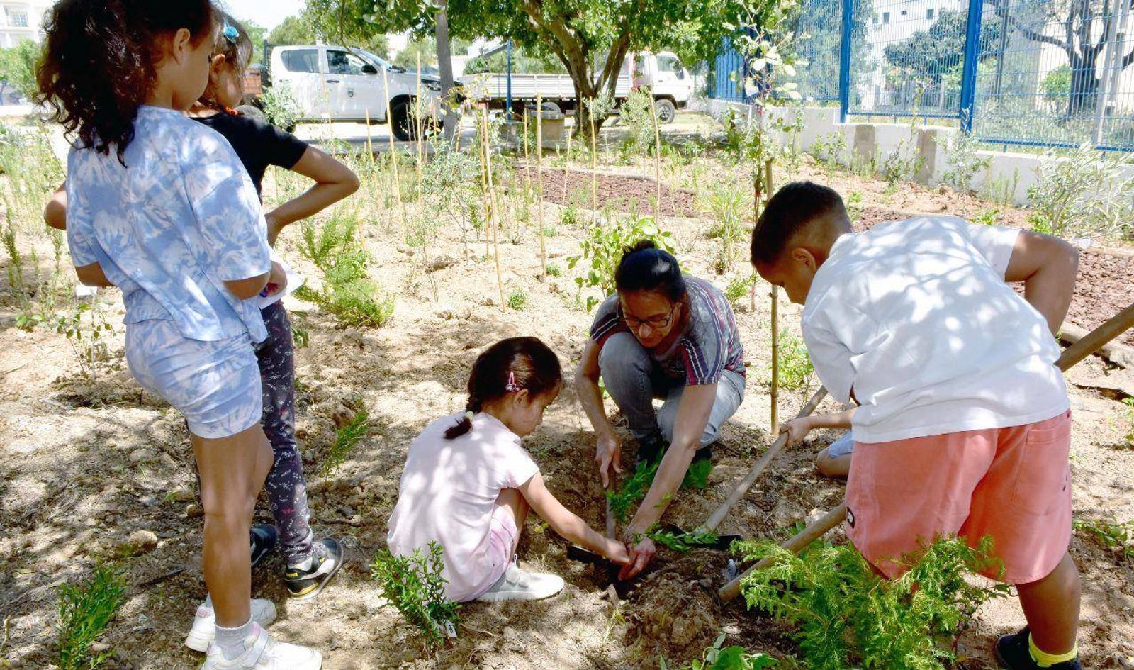 Plantação da floresta Miyawaki no Agrupamento de Escolas de Almancil